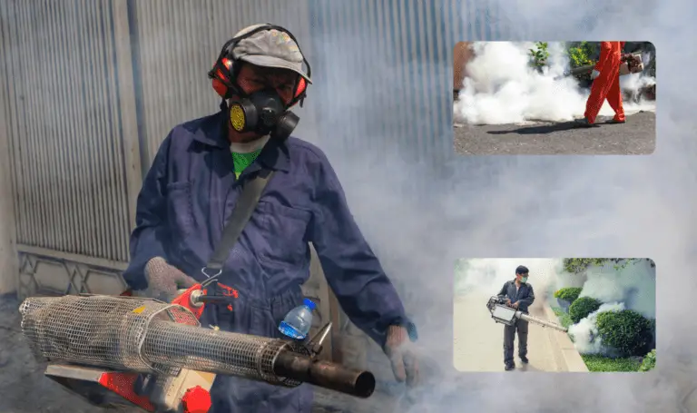 Is Mosquito Fogging Harmful To Humans?