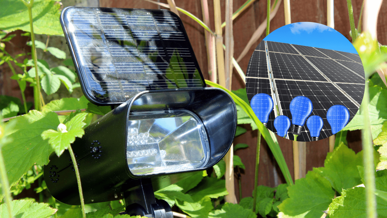 Are Solar Lights Good For Plants - Something To Learn